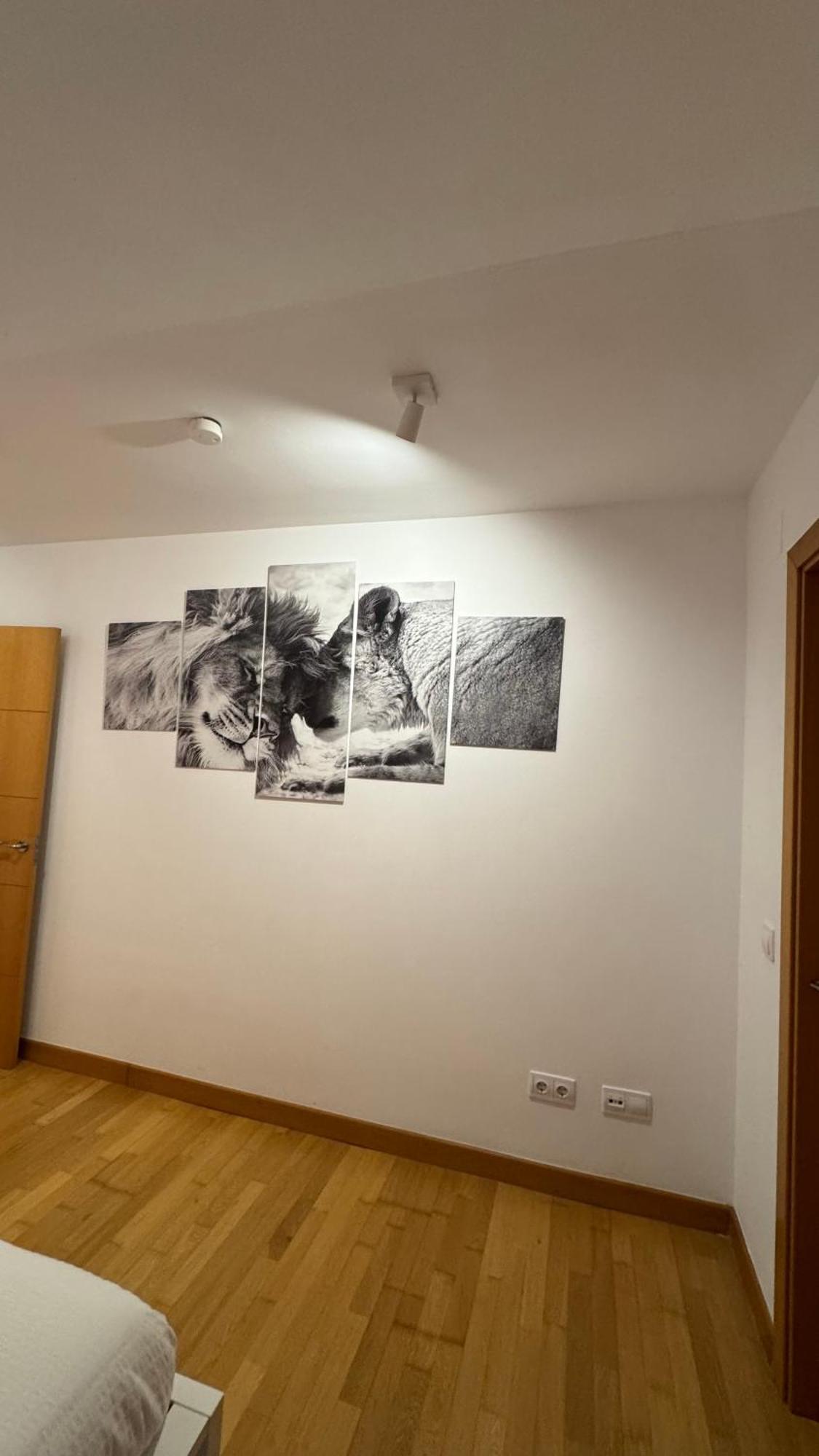 Apartamentos Suites Olmedo Olmedo