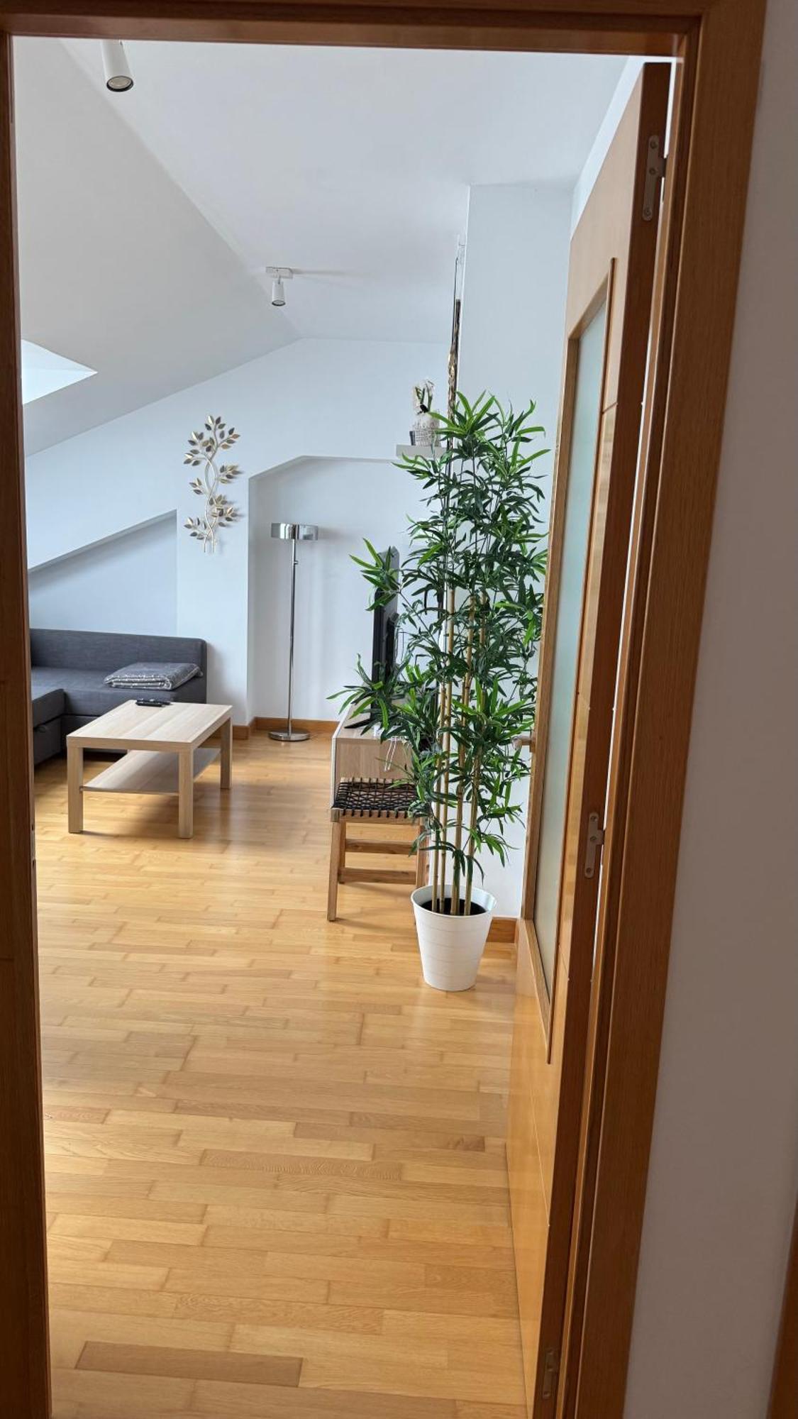 Apartamentos Suites Olmedo Apartment *