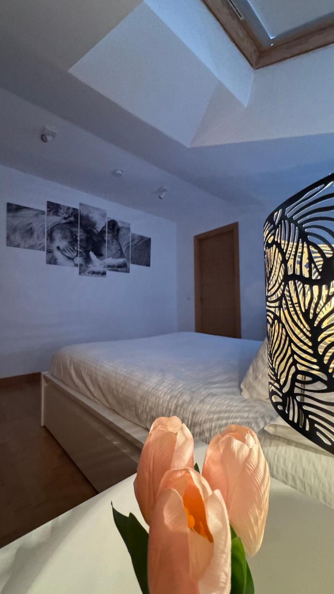 Apartment Apartamentos Suites Olmedo Olmedo