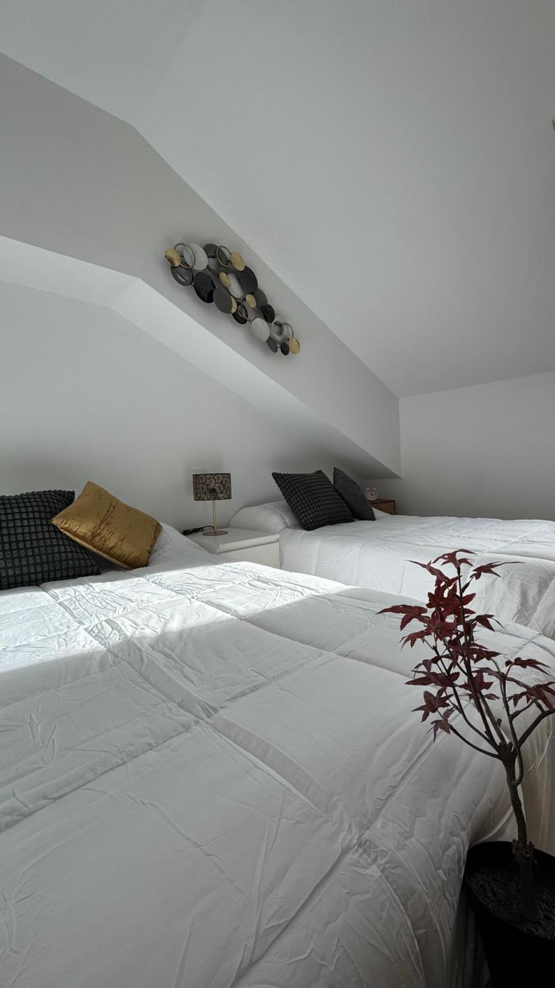 Apartamentos Suites Olmedo Apartment Olmedo