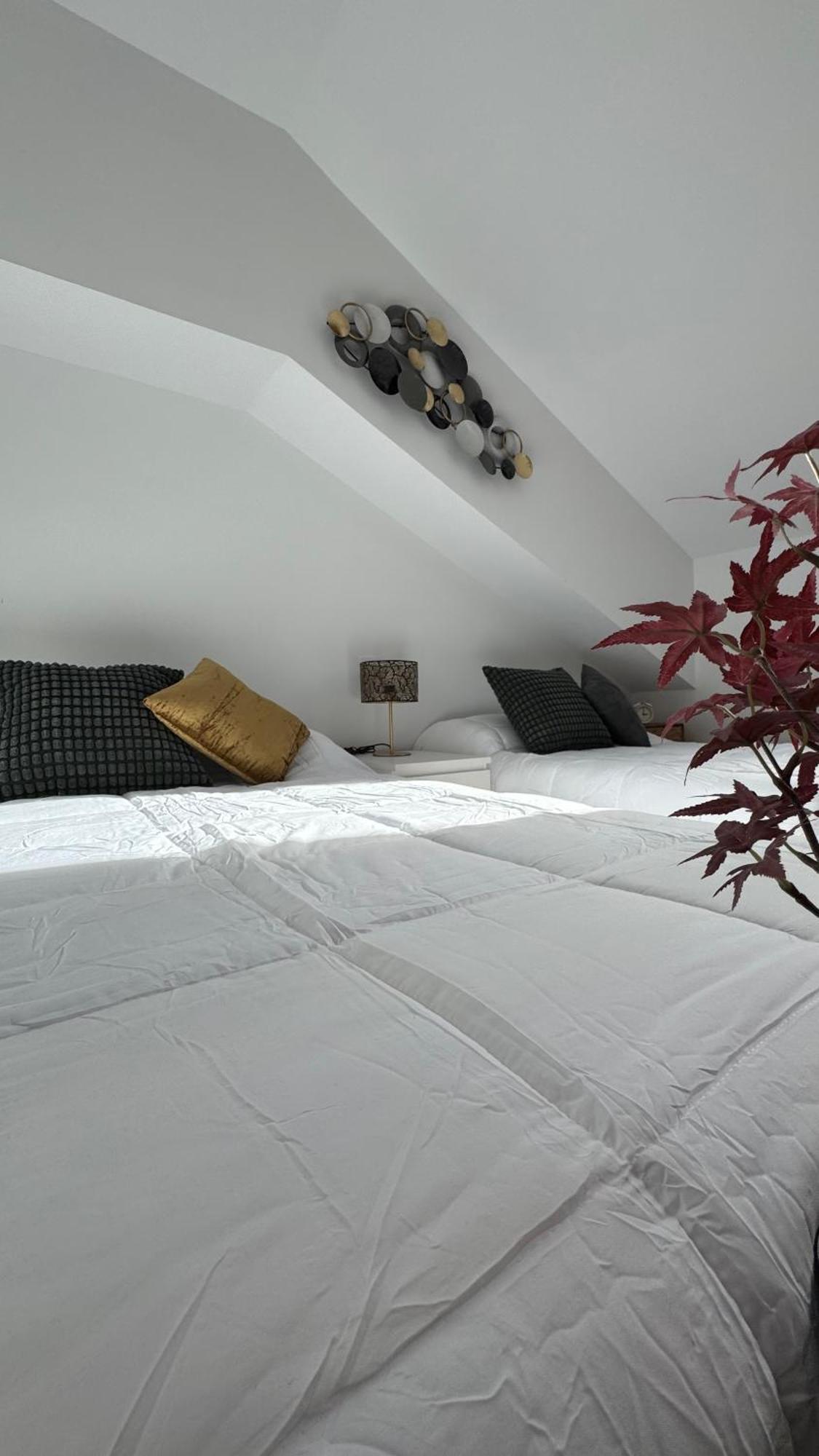 Apartamentos Suites Olmedo Apartment Olmedo